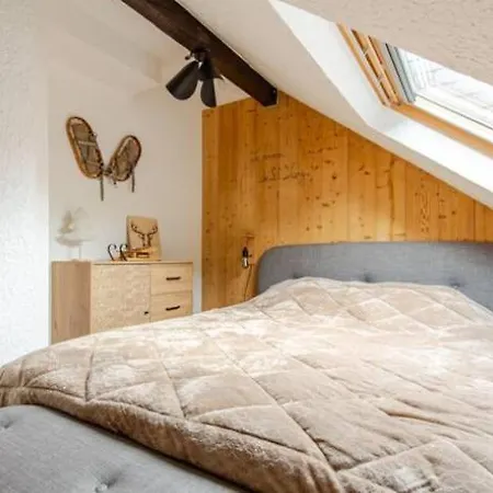 Le Cocon De St Lary 圣拉里苏朗